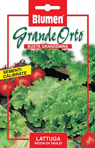BLUMEN SEMENTI, LATTUGA RICCIA DA TAGLIO