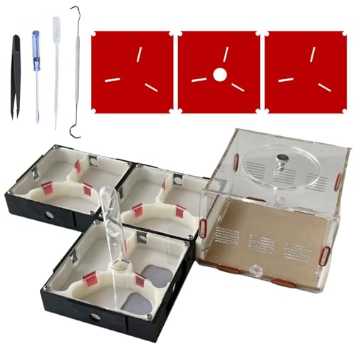 Ants Footsteps Ant Farm Nest Science DIY Terrarium Kit Care for Live Ants Ant Habitat with Water Tower Nurturing Room and Comprehensive Observation-Set 4