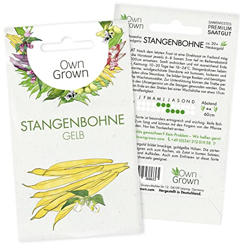 Gelbe Bohnen Samen Stangenbohnen: Gelbe Stangenbohnen Samen für 20x Neckargold Bohnen – Gemüse Saatgut Bohnen – Samen Gemüse Samen – OwnGrown Saat