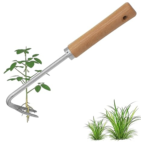 GYSRXS Extractor Malas Hierbas de Acero Inoxidable Cortador Malas Hierbas Manual con Mango de Madera Quita Hierbas Huerto,para Escardar,Excavar,Arrancar(25.7×7,5) CM