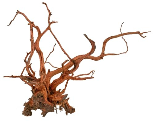 Amtra Madera Red Spider King - Talla XS 10-25 cm - Decoración de Madera Natural para acuarios, Tronco Natural Ornamental, Accesorio Decorativo para terrarios