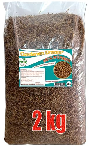 Gardeners Dream getrocknete Mehlwürmer in 2kg Abpackung, Protein- und fettreich, verfeinert und gesiebt, für Fische, Nager, Vögel, Reptilien, auch Koifutter oder Igelfutter
