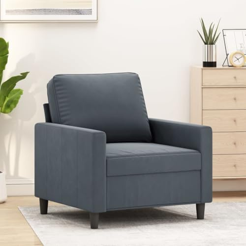Willood Sillón, Sofá Individual con Respaldo Reposabrazos, Sillón de Descanso Televisión, Butaca Tapizada para Salón, Terciopelo Color Gris Oscuro