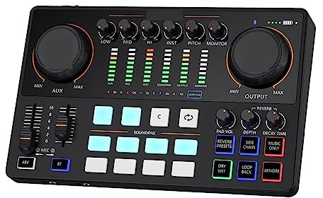 RUHEN Kit de Carte Son avec Microphone XLR, Interface de podcasting pour DJ, Streaming en Direct, téléphone, Ordinateur, PC, Configuration de Studio AME2A pour l'enregistrement de Musique