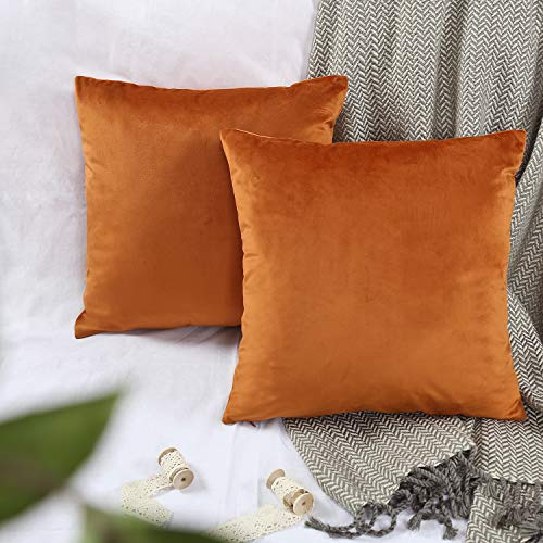 YINFUNG Burnt Orange Velvet Cushion Cover Rust Copper Boho Furry Throw Pillow Cases Mustard Pumpkin Toss Pillow Covers 18x18 Couch Sofa Bed Decorative Cushion Cover Set of 2