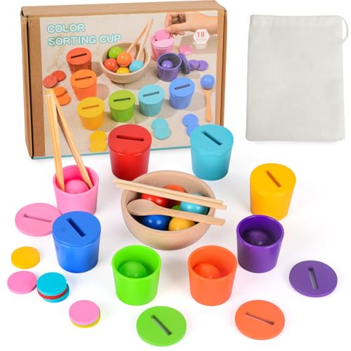 BITOYO Juguetes Montessori 2 3 4 5 Años, Clasificar Juegos, Juguete Apilable, Montessori Juego de Combinación de Color,para Contar,Motricidad Fina,Juguetes Educativos Regalo para Niños 2-5 años