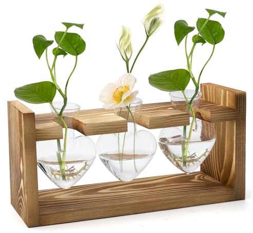 HENGBIRD Jarrón de flores decorativo vintage con tubos de ensayo de madera, para flores, estación de propagación, jarrón de cristal, jarrón, decoración, terrario, plantas, plantas, cristal, regalo,