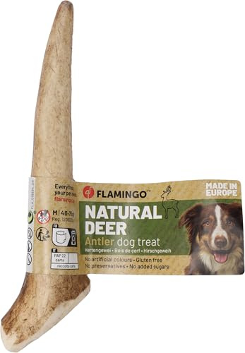 bastoncini per cani – Snack Nature Corna di Cervo Hard – Taglia M – 75g – articolo da masticare naturale – cura dei denti – dall’Europa