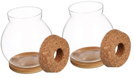 Mipcase 2ensembles Jardinières Hydroponiques Verre Pots De Terrarium pour Plantes Aériennes Jardinière De Table avec Couvercle Vase pour Micropaysage Et Culture De Plantes