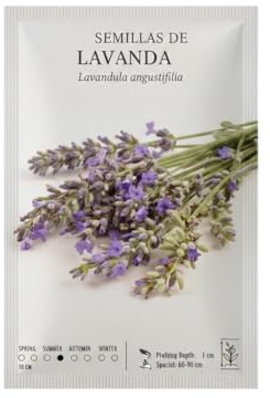 Planta Mediterránea en Semillas de Lavandula – DECOALIVE Lavanda para Jardín