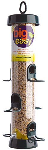 Hanging Bird Feeders for Small Birds - Jacobi Jayne® Bigeasy™ Small Seed Bird Feeders for Wild And Garden Birds - Squirrel-Resistant Bird Feeder with Built in Hanging Ring.