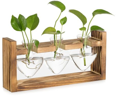 Glasseam Glas Propagation Station für Pflanzen: Vintage Vasen Deko mit Holz Rahmen Set für Home Wohnzimmer Büro Regal Tischdeko Fensterbank - Blumenvase Klein Plant Terrarium für Blumen Hydroponic