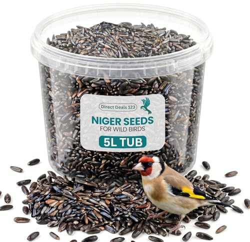 5L Niger Seed for Wild Bird Food, No Grow Niger Seeds Mix for Birds Feed | Premium Niger Seeds High Oil Natural Feed for Finches Sparrows Garden Wildlife No Mess Clean Feeding Nutrition Quality Seed