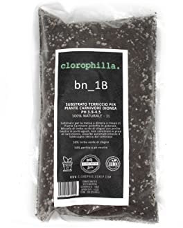 Clorophilla Terriccio piante carnivore - terra per pianta carnivora Dionea, torba substrato biologio per terreno e giardinaggio 1 Litro