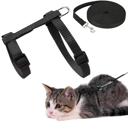 GNALIA Harnais Pour Chats, 1 Pièce Harnais Et Laisse Réglable Noir 120X1Cm, Pour Chaton Et Petits Animaux, Sécurité Confort Promenade, Ensemble Harnais Laisse Anti-Fuite