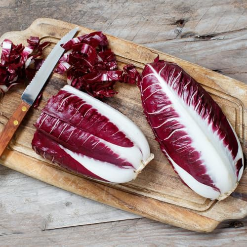 semi di cicoria, invernali di radicchio resistenti, rare da giardino, 200pcs