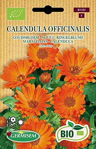 Germisem Bio Graines Souci