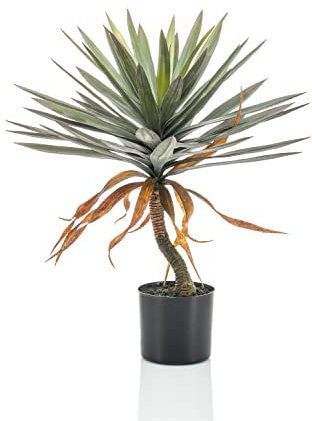 artplants.de False yucca KOUKI, 75 cm - Plastic palm tree
