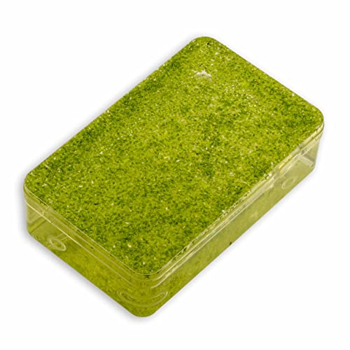 Wasserlinse, 1 Portion, ca. 100 cm², Kleine Wasserlinse, Lemna minor, Schwimmpflanze für Urzeitkrebs Becken, Teich und Aquarium, schnellwüchsig mit niedlichen Blättern, Entengrütze