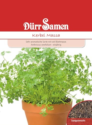 Dürr-Samen - Kerbel Massa Saatgut