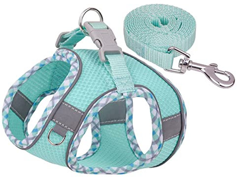 Factorys Hundegeschirr für kleine, mittelgroße und große Hunde, kein Ziehen, Welpengeschirr und Leine-Set, Verstellbar, Mint Green, Turquoise, XXS, Fischgrätmuster