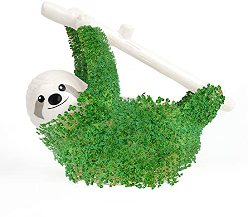 Gift Republic – Paresseux en céramique pour cultiver des graines de chia | Bol de culture en forme de paresseux | Kit de démarrage de graines de chia | Kit de plantes sloth | Cadeau de Noël,