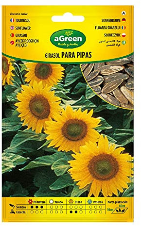 SOBRE SEMILLAS GIRASOL PARA PIPAS 301024BOLSH AGREEN