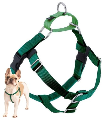 2 Hounds Design Freedom No Pull Dog Harness, Adjustable Harness, Easy Walking & Comfortable Control, Fits Small, Medium & Large Dogs, Solid Colors, Made in USA, 1 LG, Kelly Green