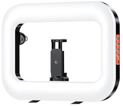 Bärbart ringljus - bärbar handhållen typ-C uppladdningsbar lampa selfie-ringljus, mini | Clip on Lighting for Live Streaming Viewing 8,58 × 11. Konsert camping skolkontor dagligt arbete selfie foto