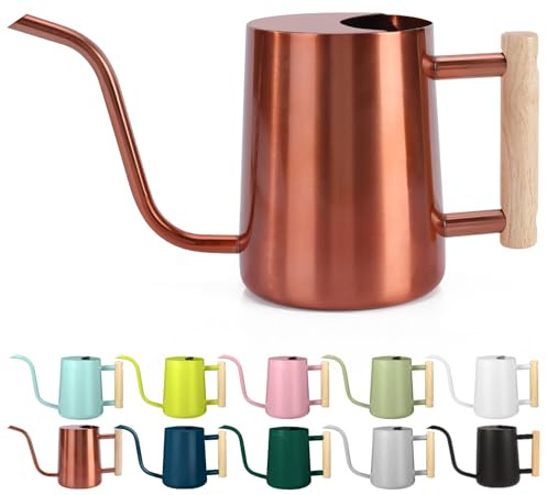 Vattenkanna inomhusväxt, 1 l vattenkanna liten inomhus metall rostfritt stål modern dekorativ vattenkanna med lång pip för hem växt bonsai utomhus trädgård blommor (koppar)