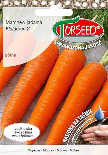 Verdica Flakkese 2 semi di carota, 18-22 cm, radici dolci, facili da tirare, nastro ecologico, ideale per succhi, semina aprile-maggio (300 pezzi)