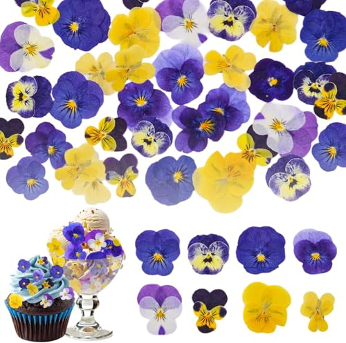 Celblisora 80 pièces 8 Types de Fleurs séchées et pressées naturellement, comestibles pour décorer Les Dessus de gâteaux – Mélange de Violettes tricolores pour Cocktails, Artisanat DIY