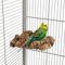 HappyBird | Kork-Eck-Sitzbrett L für Sittiche und Papageien ca. 15x15cm Natur Kork Metallteile aus Edelstahl