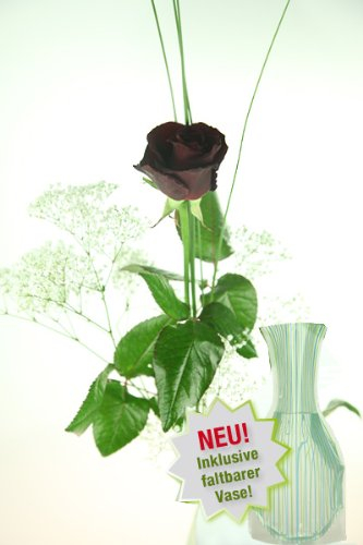 Schwarze Rose mit Schleierkraut und Gräsern - Inklusive Vase und Grußkarte