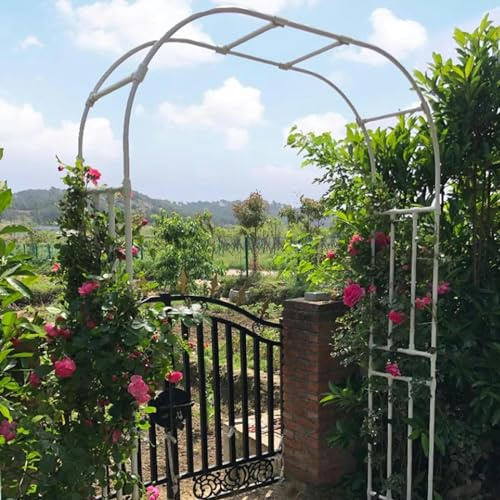 Arche d'arc de jardin en métal robuste pour rose romantique pour les plantes grimpantes, roses, pour fermes, (couleur : blanc, taille : 240 x 240 cm