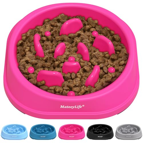 MateeyLife Ciotola Anti Ingozzamento, Puzzle Cane Anti Ingozzamento Antiscivolo, Ciotola per Cani di Taglia Piccola e Media (Rosa 15,24 cm)