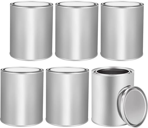 LDXDRU Lot de 6 boîtes de peinture vides de 1 L avec couvercles, multi-usages pour loisirs créatifs, projets de bricolage, organisation de garage