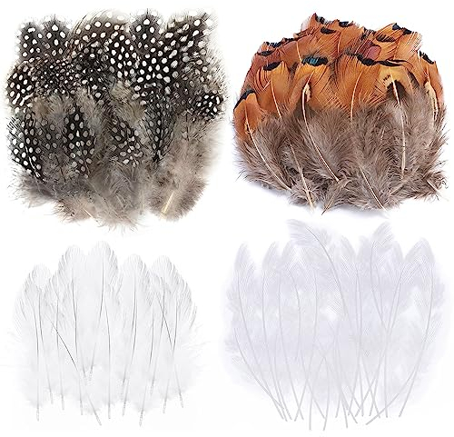 Fzyisw 200 Stück Federn zum Basteln, Bastelfedern, Federn Weiss Bastel, Federn Deko für DIY Halloween Kostüm Karneval Masken Weihnacten Kranz Ostern Zubehör, Weiß Natürliche Farben, Crafts Feather