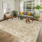 Capslpad Beige Braun Vintage Teppich Wohnzimmer 200x300cm Retro rutschfest Kurzflor Kunstwolle Teppich Waschbar Weich Schlafzimmer Teppiche für Wohnzimmer Schlafzimmer Büro Bereich Esszimmer