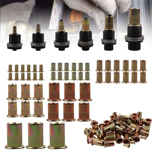 TIANCEWAN Kit de Rivet Fileté et Ecrou a Sertir, 6 Têtes de Rivet (M3-M10) + 120 Ecrous Adaptés, Compatible avec Insert Fileté Metal - Durable en Acier Carbone Pour Bâtiment, Usine et DIY