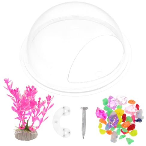 BELLIFFY Transparent Wall-mounted Acrylic Fish Tank Decorative Hanging Aquarium for Home Sturdy Fish Bowl Random Plant -saving Design Easy Installation