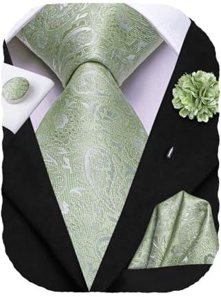 Hi-Tie Men's Sage Green Tie Silk Paisley Necktie Pocket Square Cufflinks Lapel Pin Set for Wedding Business
