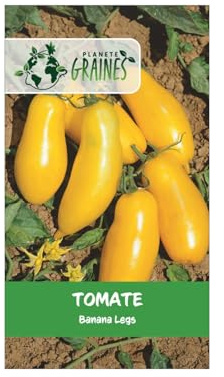 graines tomate banana legs 50 graines - banane jaune - Planète graines - Solanum lycopersicum