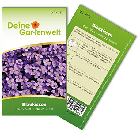 Blaukissen Violett Samen - Aubrieta cultorum - Blaukissensamen - Blumensamen - Saatgut für 100 Pflanzen