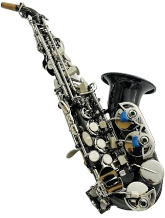 Professionell Saxofon Altsaxofon B Svart Bleckblåsinstrument Med Munlåda