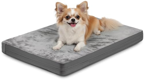 Waterproof Small Dog Bed Crate Pad 24 inch, Outdoor Washable Puppy Bed Orthopedic with Removable Cover Reversible, Foam Cat Bed Kennel Pad 23 x17, Durable Anti-Slip Bottom, Gray