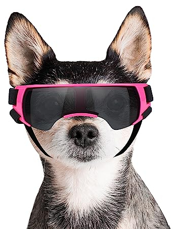 PETLESO Brille für Kleine Hunde Augenschutz Brille Windschutzbrille für Kleine Hunde UV Schutz Hunde Sonnenbrillen für Motorrad/Hundefahrradkorb/Cabrio