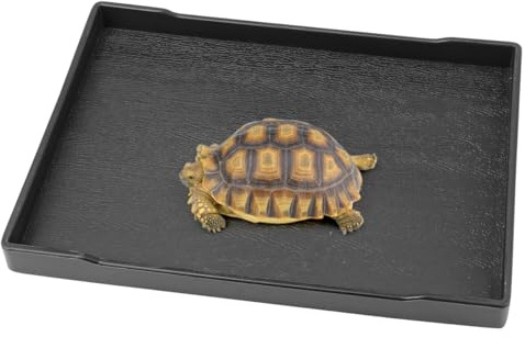 Qerutk Reptile Water Dish, Tortoise Water Bowl, Reptile Accessories, Rectangular Tray, Snake Water Bowl Ideal for Bathing Feeding Iguana - M Size Black Shallow