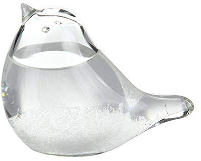 Gereton Storm Glass Weather Forecaster - Estaciones Meteorológicas Storm Glass con Pájaro, Escritorio Decorativo Weather Predictor Glass Bottles para, Valentines