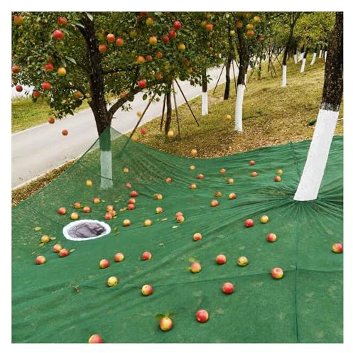ZaiZaiSMao fruktskördeuppsamlingsnät – kraftigt HDPE frukt skördnät under träd, återanvändbart med frukt exportring för oliv, valnöt, äpple, pekanna, grön-13 × 12,5 m (4 x 3,8 m)